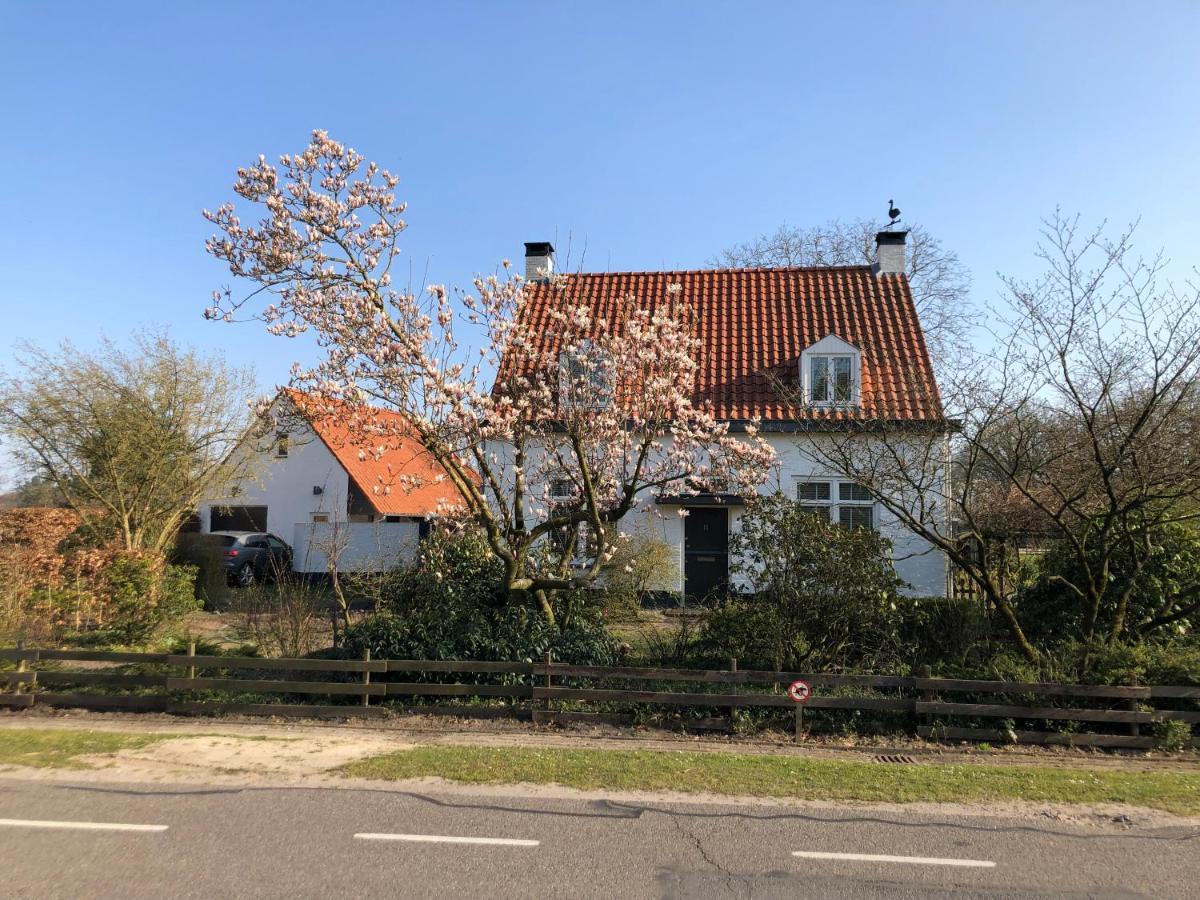 Bed and Breakfast Horse And Hound Riethoven Екстер'єр фото