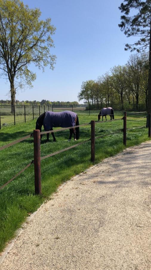 Bed and Breakfast Horse And Hound Riethoven Екстер'єр фото