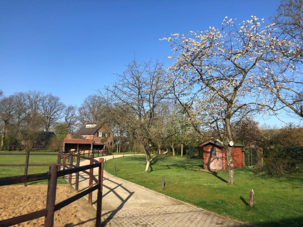 Bed and Breakfast Horse And Hound Riethoven Екстер'єр фото