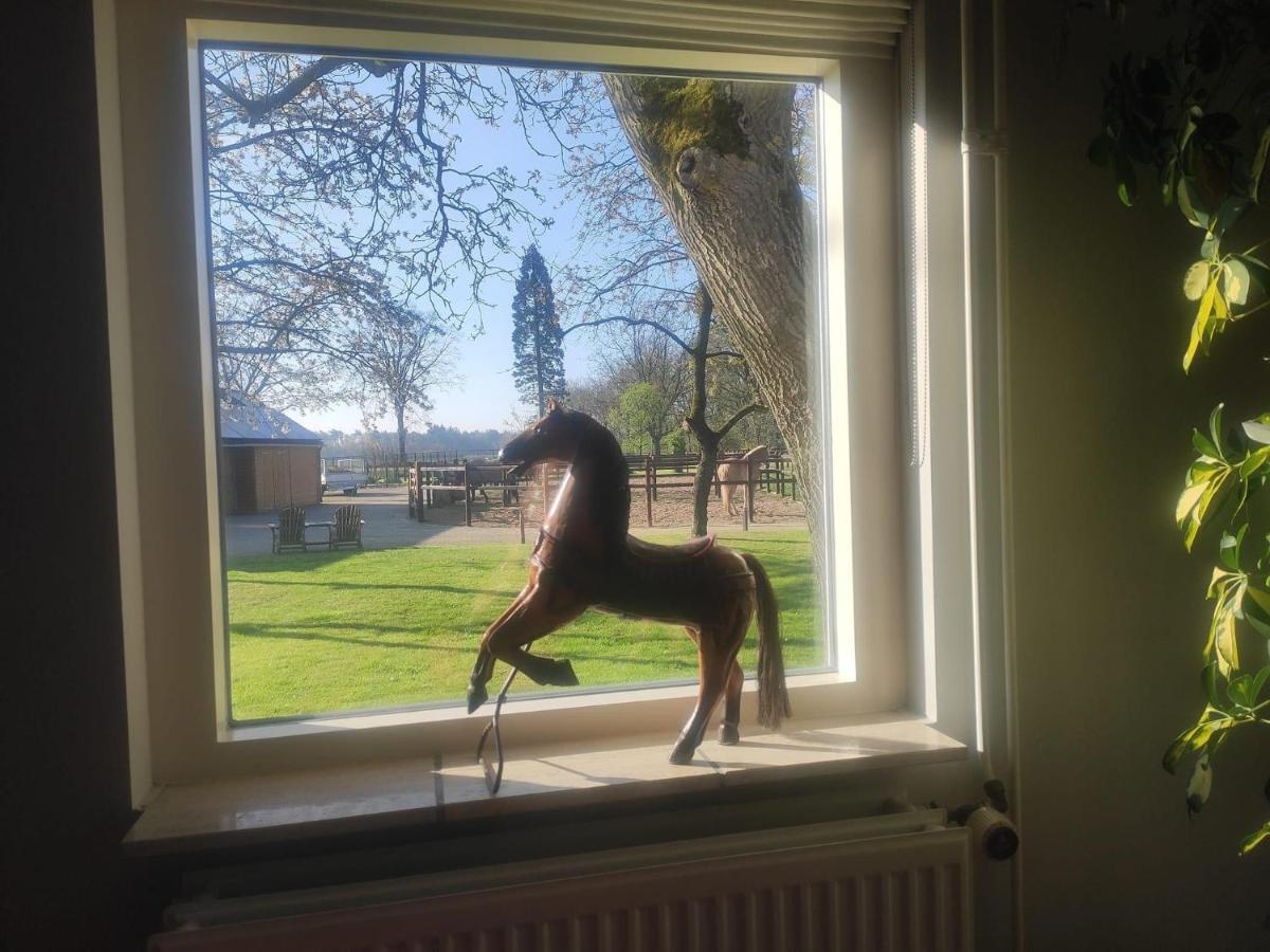 Bed and Breakfast Horse And Hound Riethoven Екстер'єр фото